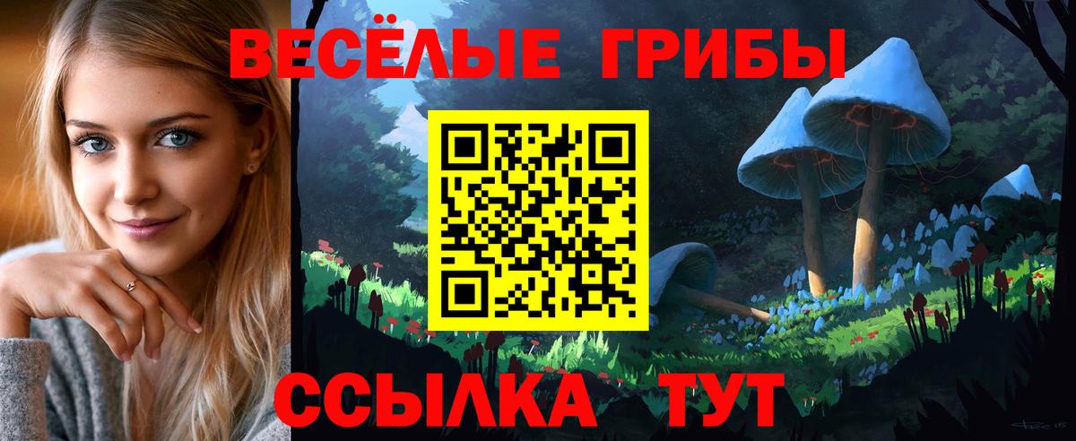 Псилоцибиновые грибы ЛСД Курганинск