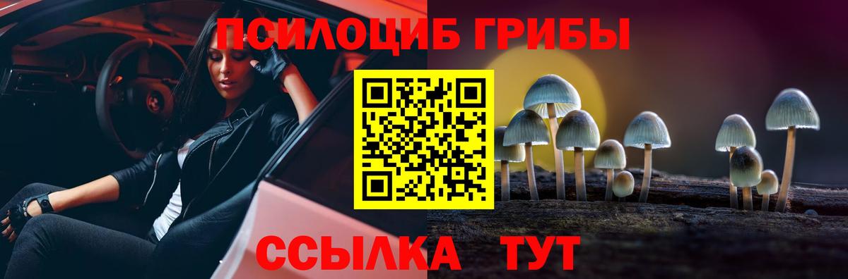 Псилоцибиновые грибы ЛСД  Вход с VPN  Курганинск 